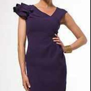 Teri Jon Rickie Freeman Size 6 Purple Midi Dress